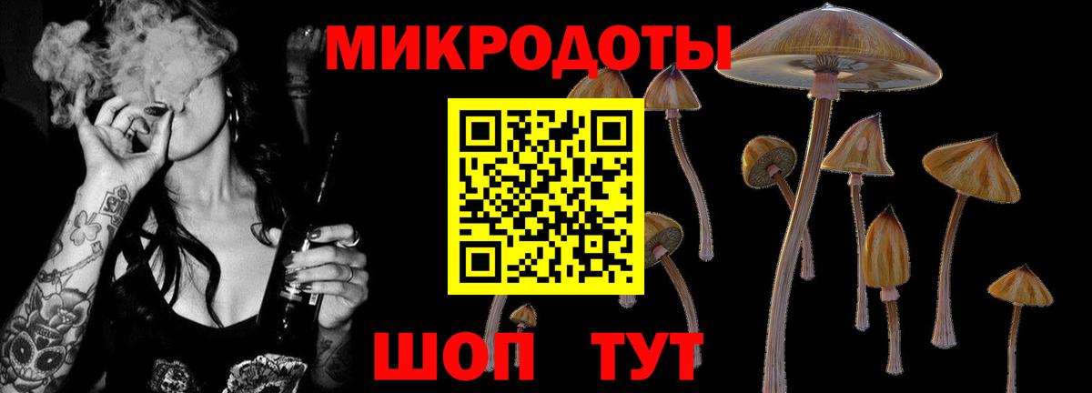 Псилоцибиновые грибы Cubensis Первоуральск